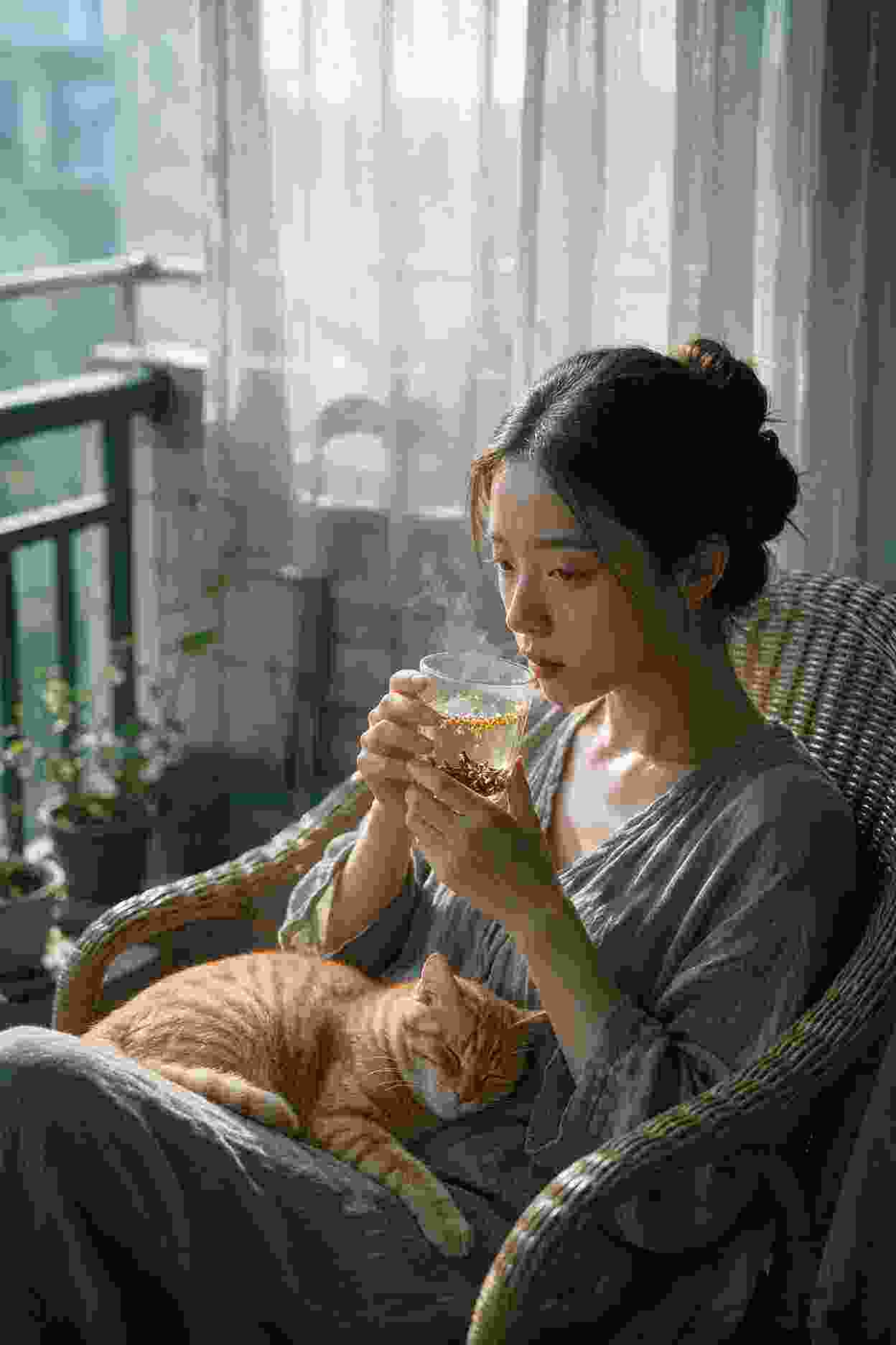 热播剧集4